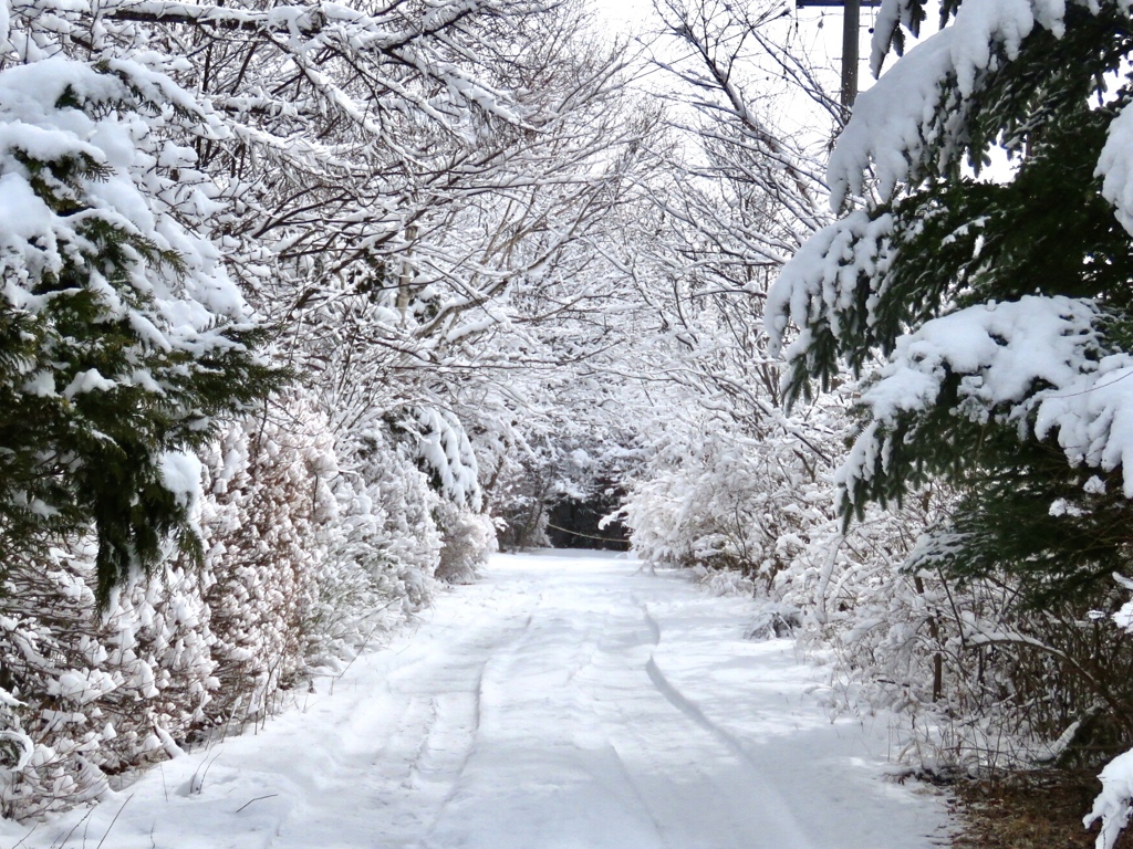 雪のトンネル