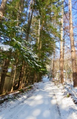 雪景色4