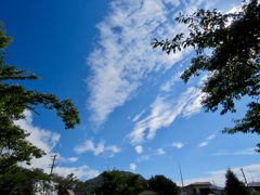 秋晴れの空2