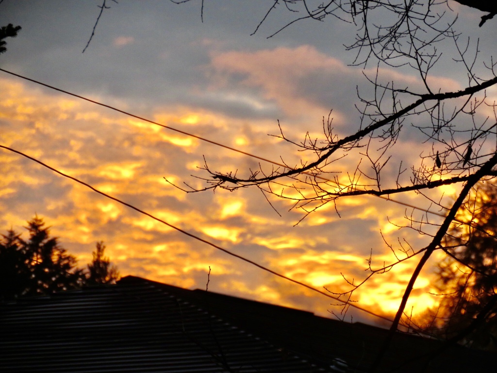 夕焼け空