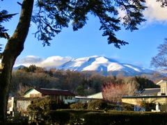 今日の浅間山