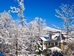 今朝の雪景3