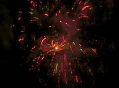 木間から見た花火３