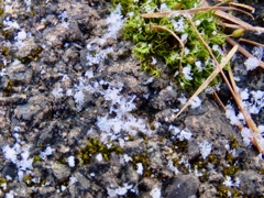 雪化粧