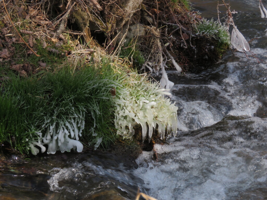 飛沫氷の造形10