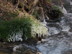 飛沫氷の造形10