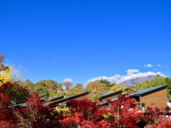月と紅葉と浅間山