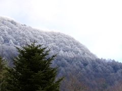 離山の雪？