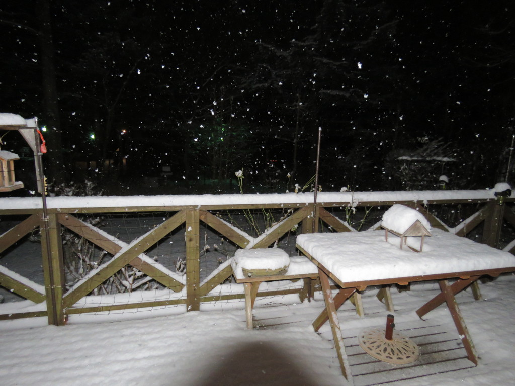 雪の夜のデッキ