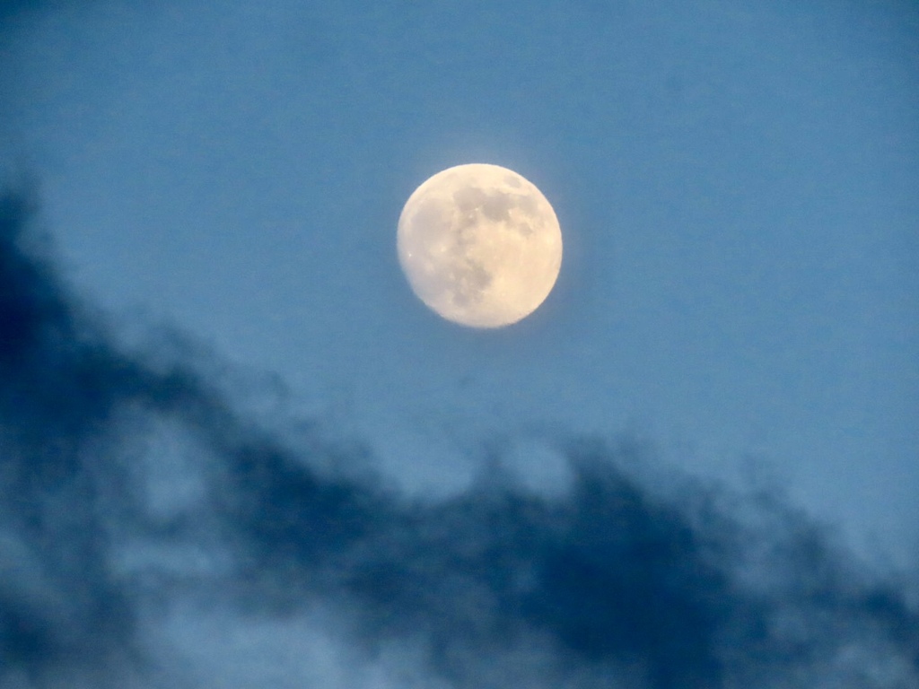 夕方の月