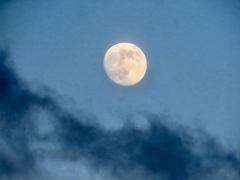 夕方の月