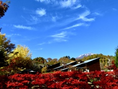 浅間山と青空と紅葉