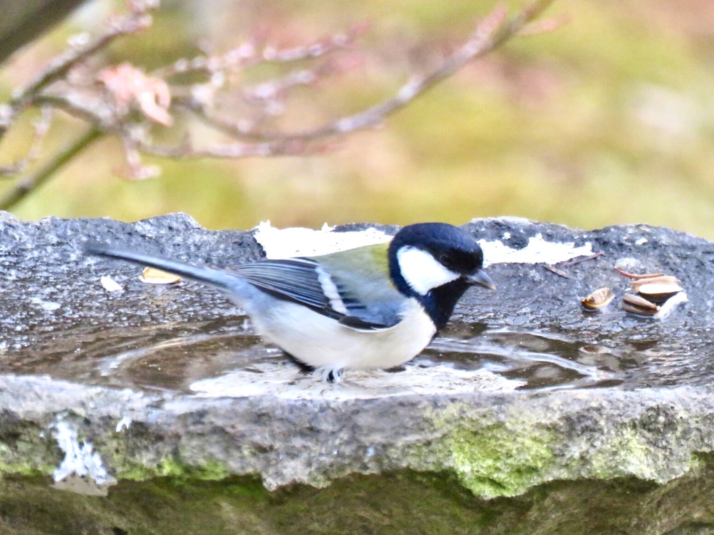 じゃー、私から