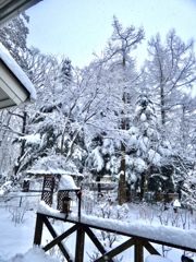 今冬最高積雪