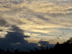 昨日の夕方