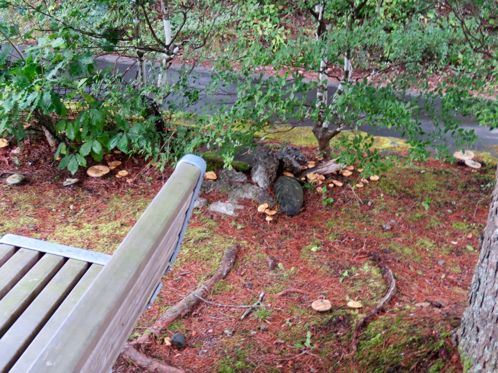 公園のベンチ