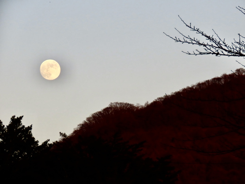 離山と月