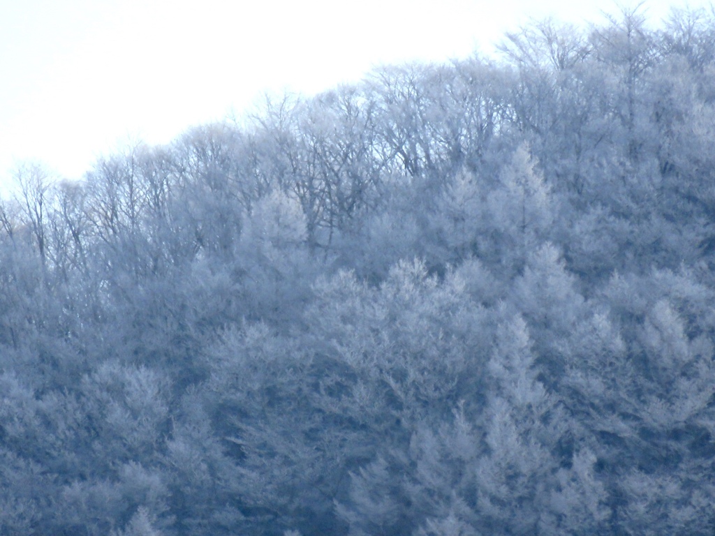 今日の離山