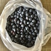 収穫