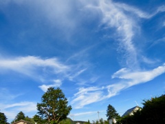 秋の雲