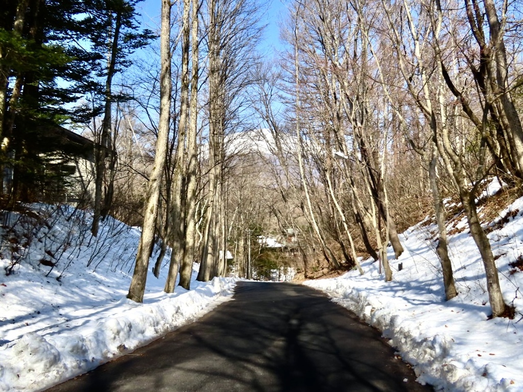 坂道から見る浅間山