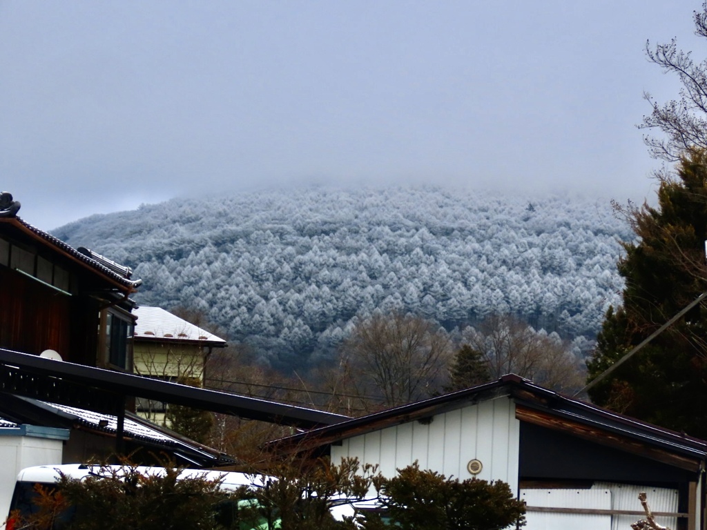 今朝の離山