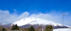 来年もよろしく