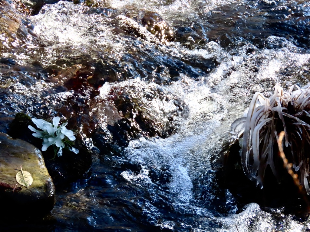 飛沫氷の季節①