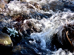 飛沫氷の季節①