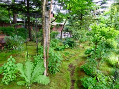 雨の庭2