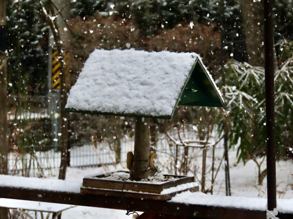 降り続く雪