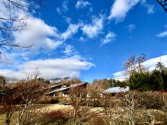 公園からの眺め