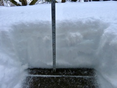 積雪