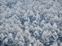 離山の中腹