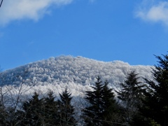 今朝の離山