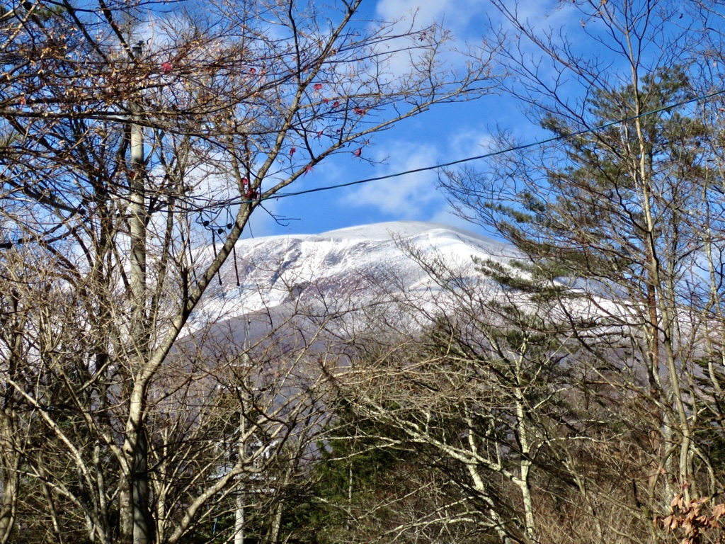 冬枯れになると　1