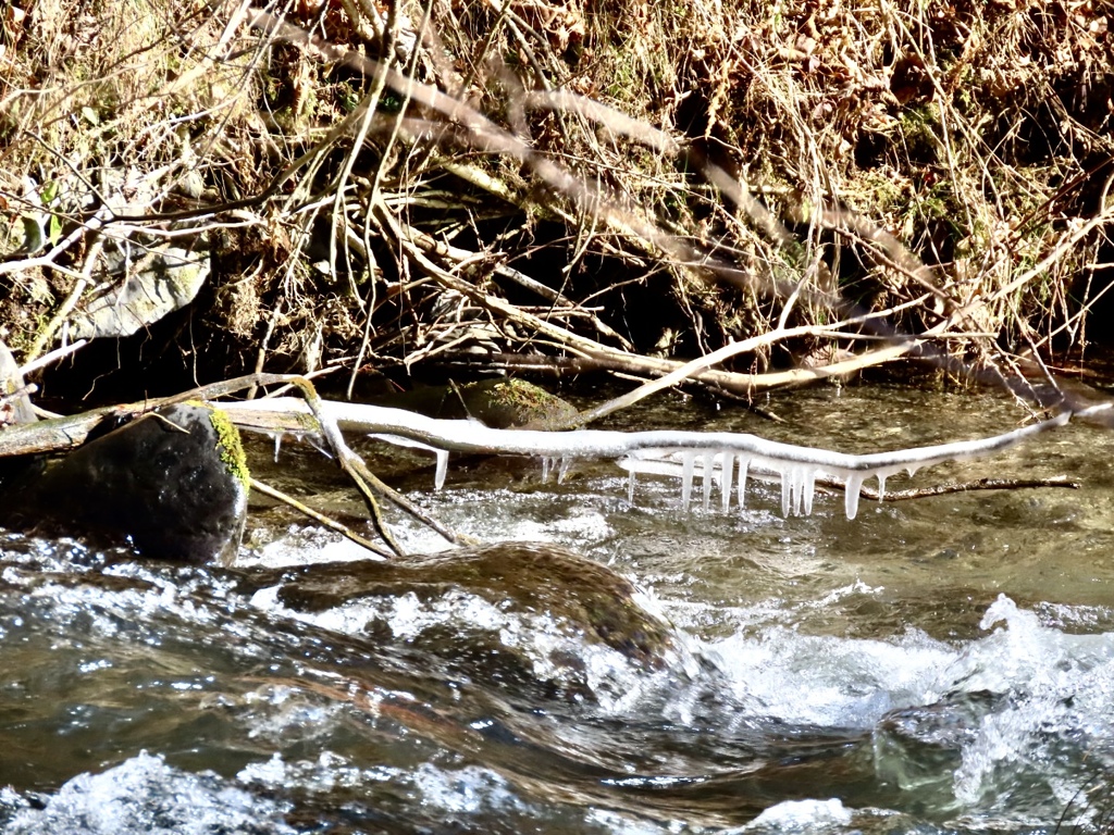 飛沫氷の季節③