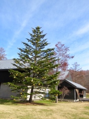 トンボの湯