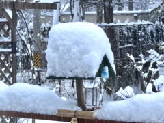 先程の積雪1