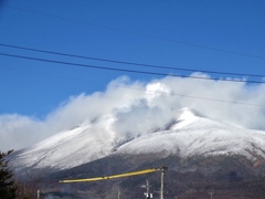 本格的冠雪5