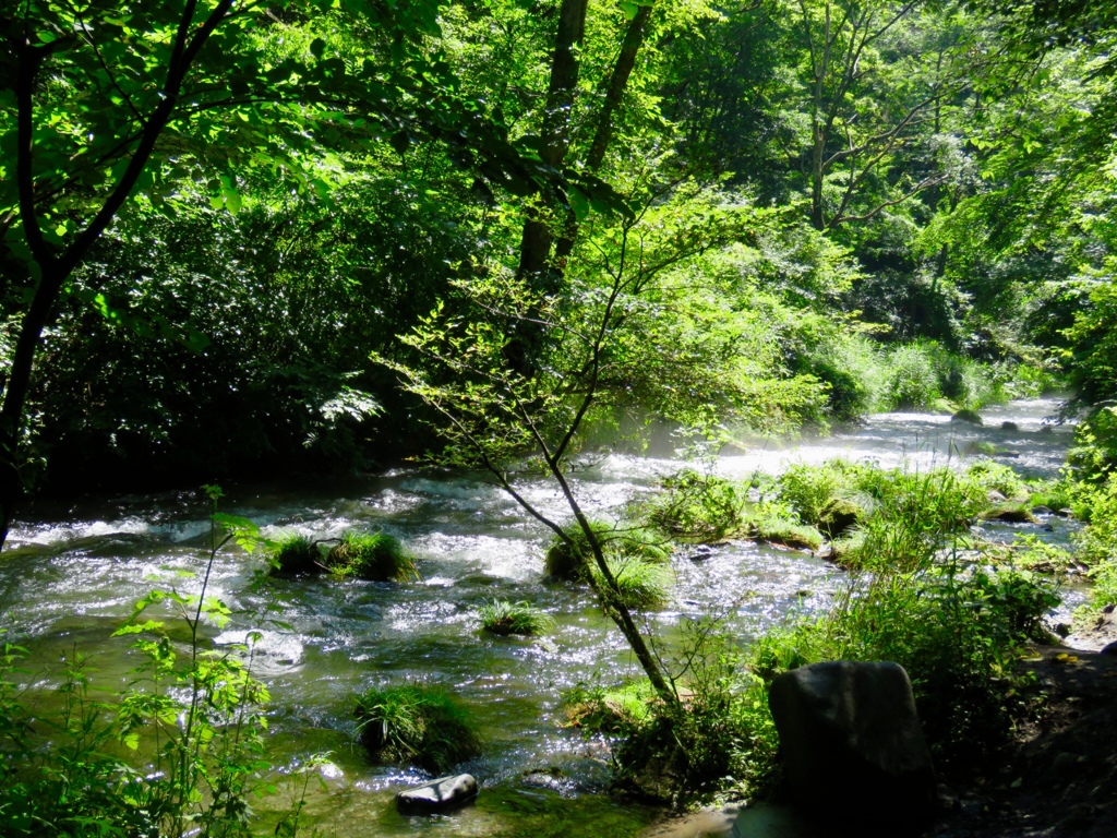 湯川の流れ