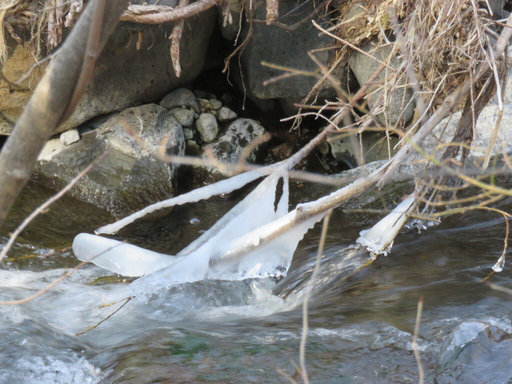 飛沫氷の造形5
