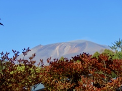 今朝の浅間山1