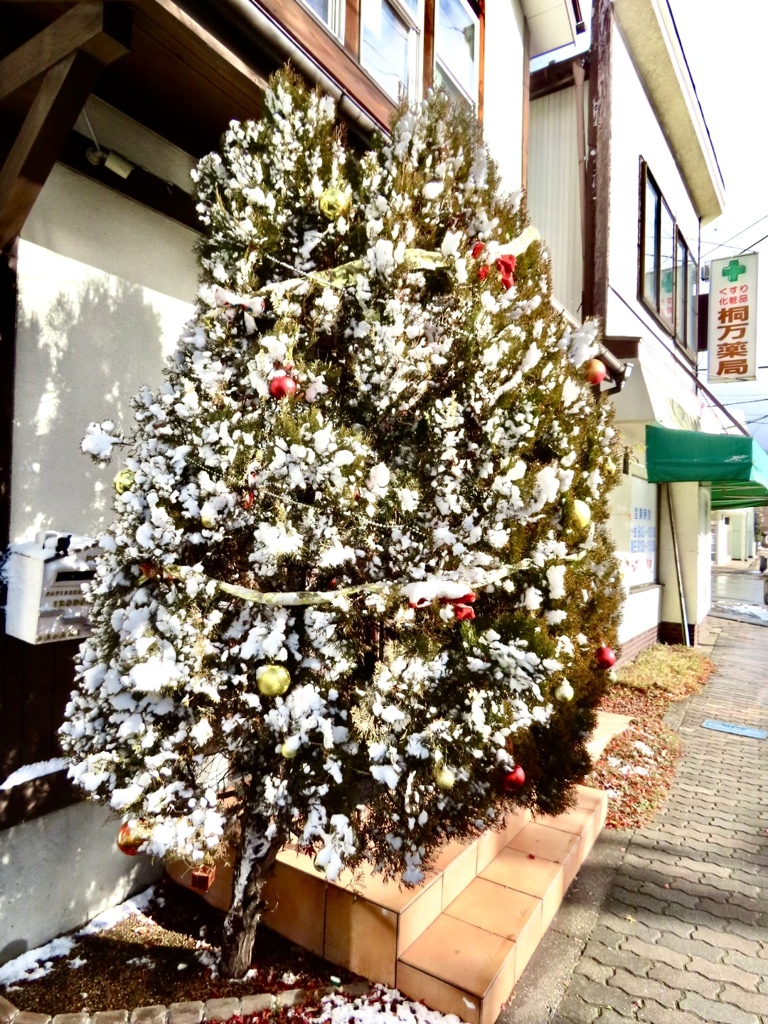 雪を纏ったX‘masツリー