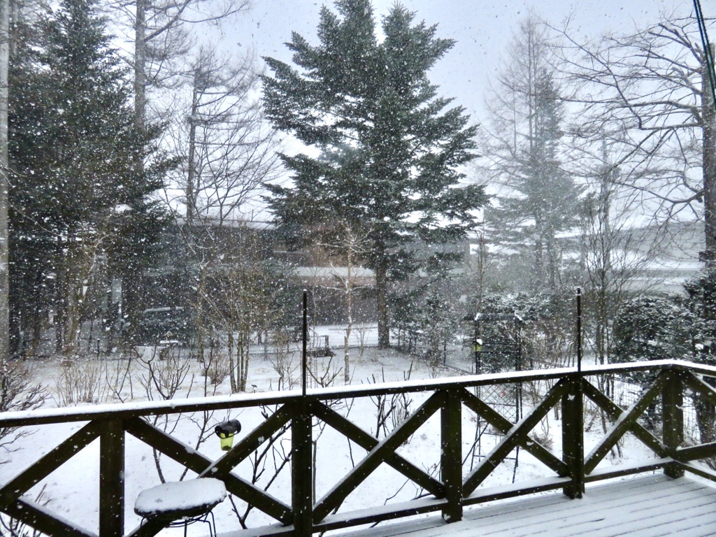 雪で煙る