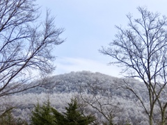 霧氷に覆われた離山