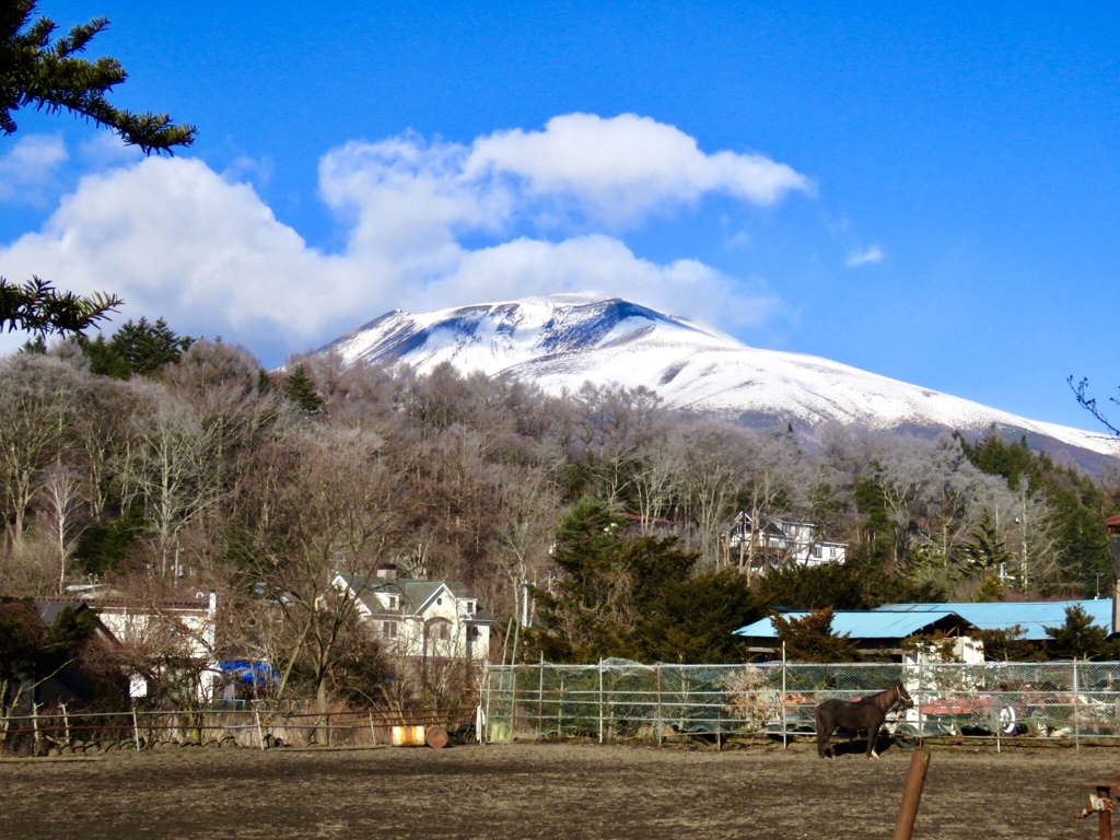 乗馬クラブと浅間山