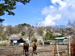 軽井沢の春