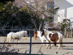 ご挨拶