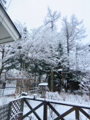 3月の雪8